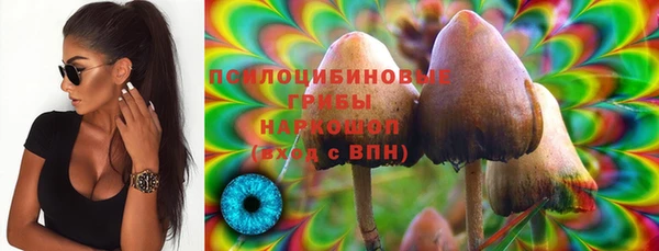 тгк Володарск