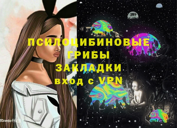 тгк Володарск