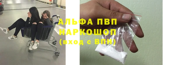 тгк Володарск