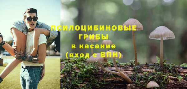 тгк Володарск