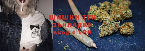 тгк Володарск