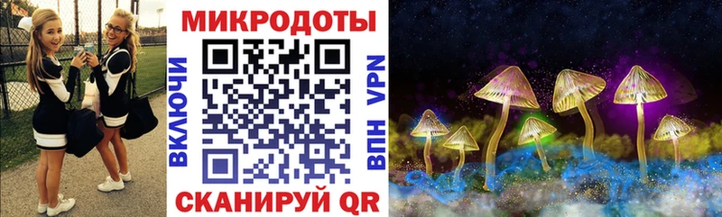 Купить  Микунь  Псилоцибиновые грибы Magic Shrooms 